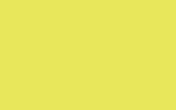 Краска для сколов во флаконе с кисточкой FORD, цвет ADAF - CITRINE YELLOW