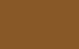 Краска для сколов во флаконе с кисточкой TOYOTA, цвет 440 - BROWN