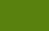 Краска для сколов во флаконе с кисточкой FORD, цвет ER - SIGNAL (SUMMERGIRL) TROPIC GREEN