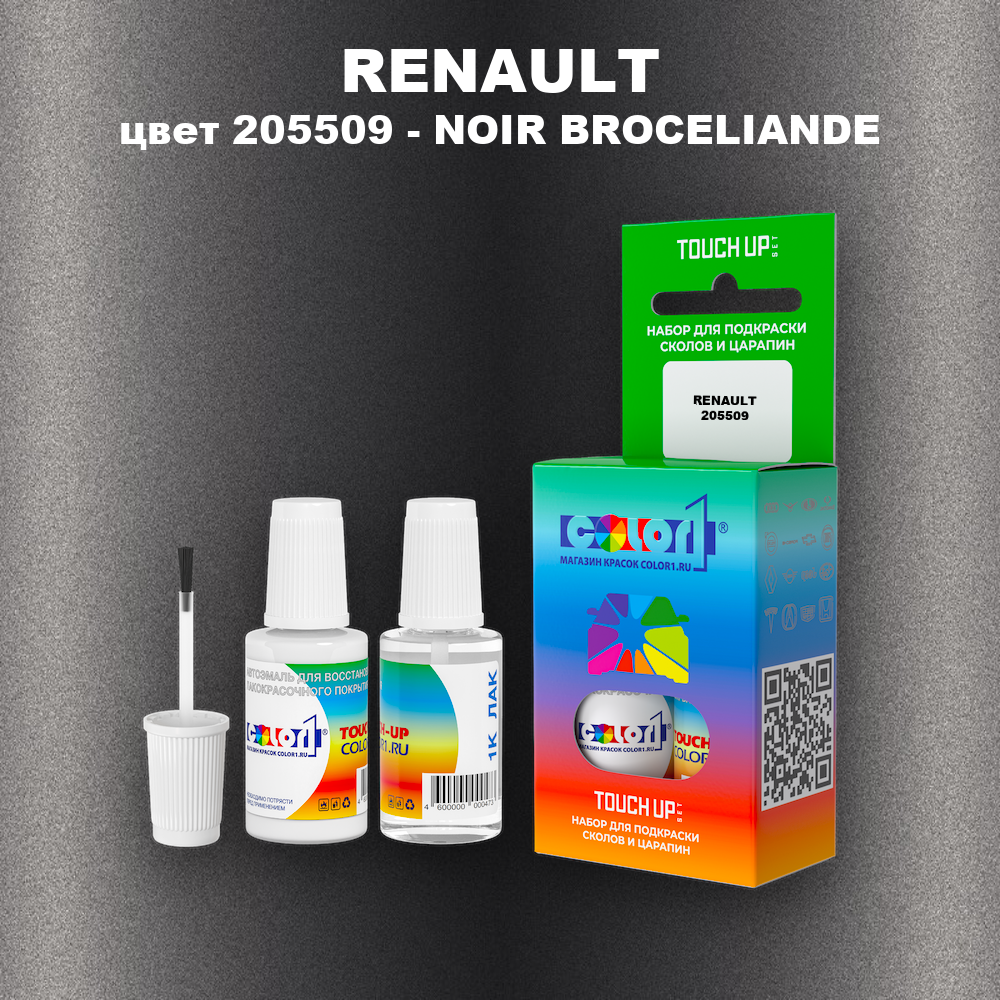 Краска для сколов во флаконе с кисточкой RENAULT, цвет 205509 - NOIR BROCELIANDE