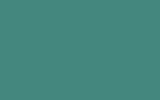 Автомобильная краска VOLVO TRUCKS, цвет S98941 - MINT TURQUOISE RAL6033-GL