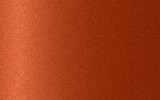 Краска для сколов во флаконе с кисточкой FORD, цвет G - MARS RED