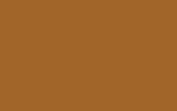 Краска для сколов во флаконе с кисточкой FORD, цвет HGS - OCHRE BROWN RAL8001-HR