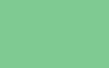 Аэрозольная краска OPEL, цвет 305ZZ - PASTELLGRUEN/PASTEL GREEN