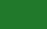Краска для сколов во флаконе с кисточкой FORD, цвет FPT - HBG GREEN FLN6260