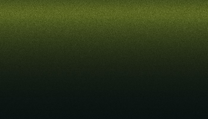 Ремкомплект для ремонта глубоких сколов и царапин FORD, цвет FY - WOODLAND GREEN