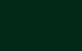 Автомобильная краска VOLVO TRUCKS, цвет 1411 - DARK GREEN