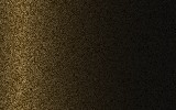 Краска для сколов во флаконе с кисточкой FORD, цвет AA9E - BLACK GOLD