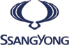 Аэрозольные краски SSANGYONG
