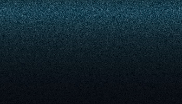 Краска для сколов во флаконе с кисточкой FORD, цвет L2 - TRUE (NAVY) BLUE
