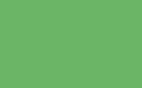 Автомобильная краска RENAULT, цвет 913 - LIGHT GREEN