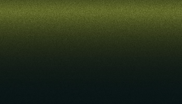 Ремкомплект для ремонта глубоких сколов и царапин FORD, цвет FV - WOODLAND GREEN