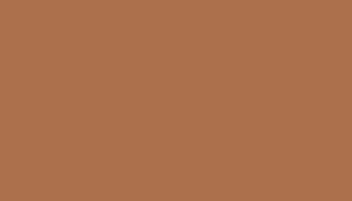 Аэрозольная краска NISSAN, цвет 921 - LIGHT BROWN/MESA TAN