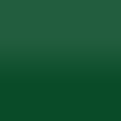 Краска для сколов во флаконе с кисточкой TESLA цвет 1GN00 - RACING GREEN