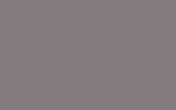 Краска для сколов во флаконе с кисточкой FORD, цвет 2710A - GREY VIOLETT