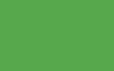 Краска для сколов во флаконе с кисточкой FORD, цвет FR - SIGNAL (RACE) GREEN