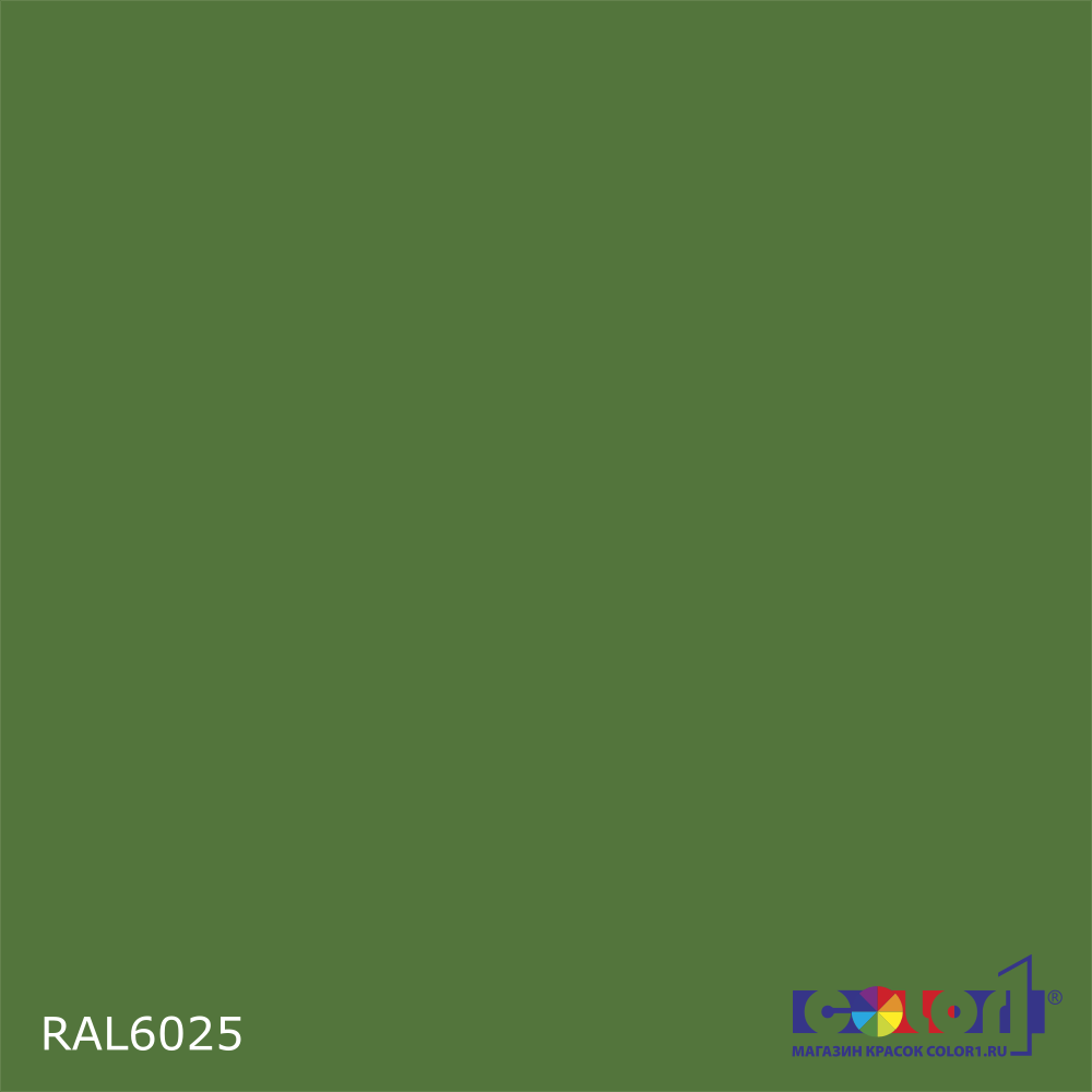 Краска автомобильная универсальная, цвет RAL 6025, в комплекте с отвердителем (растворителем), 1кг + 0,5л