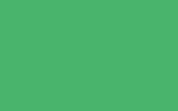 Краска для сколов во флаконе с кисточкой FORD, цвет HR - CALYPSO GREEN
