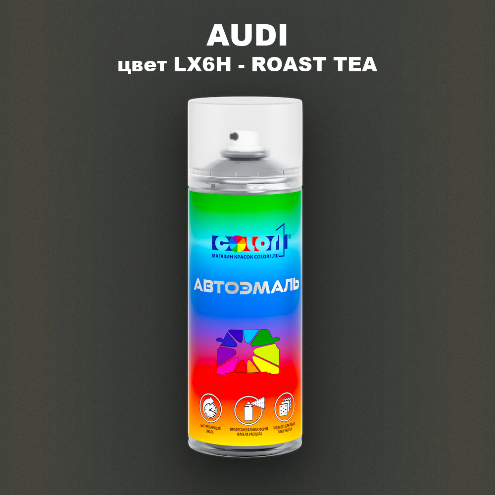 Аэрозольная краска AUDI, цвет LX6H - ROAST TEA