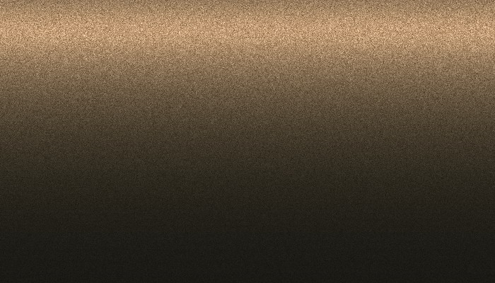 Аэрозольная краска MITSUBISHI, цвет C10 - NOYER AMERICAIN/HICKORY BROWN