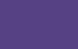 Аэрозольная краска SMART, цвет 952436 - PURPLE TAILOR MADE PANTONE 268C