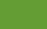 Краска для сколов во флаконе с кисточкой FORD, цвет SVO169 - YELLOW GREEN