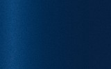 Краска для сколов во флаконе с кисточкой FORD, цвет 2814 - DARK BLUE