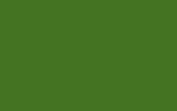 Аэрозольная краска RENAULT TRUCKS, цвет - MAYNELL GREEN