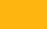 Краска для сколов во флаконе с кисточкой FORD, цвет BZ - CHROME YELLOW