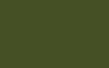Краска для сколов во флаконе с кисточкой FORD, цвет FYT - HARRODS GREEN