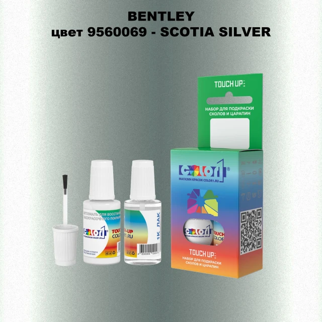 Краска для сколов во флаконе с кисточкой BENTLEY, цвет 9560069 - SCOTIA SILVER