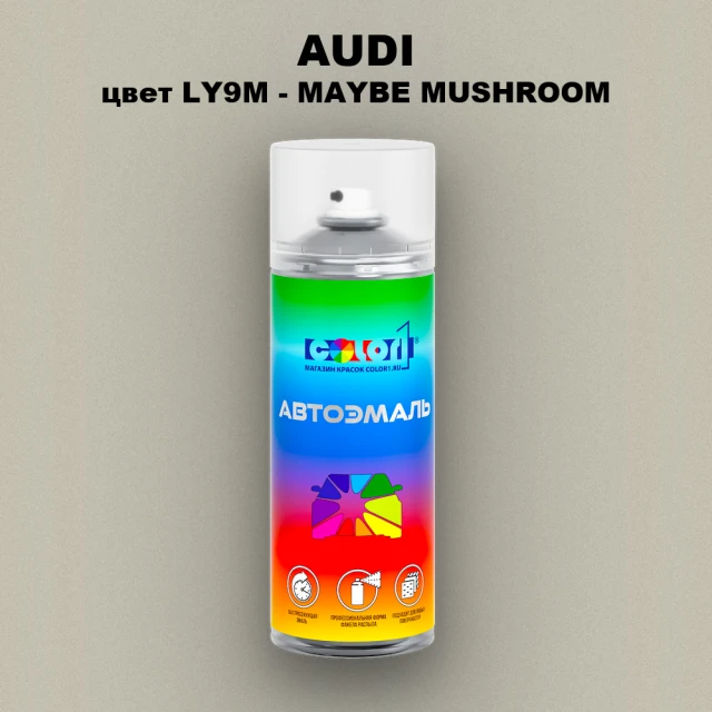 Аэрозольная краска AUDI, цвет LY9M - MAYBE MUSHROOM