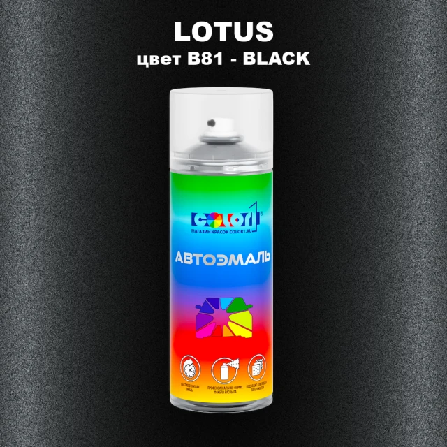 Аэрозольная краска LOTUS, цвет B81 - BLACK