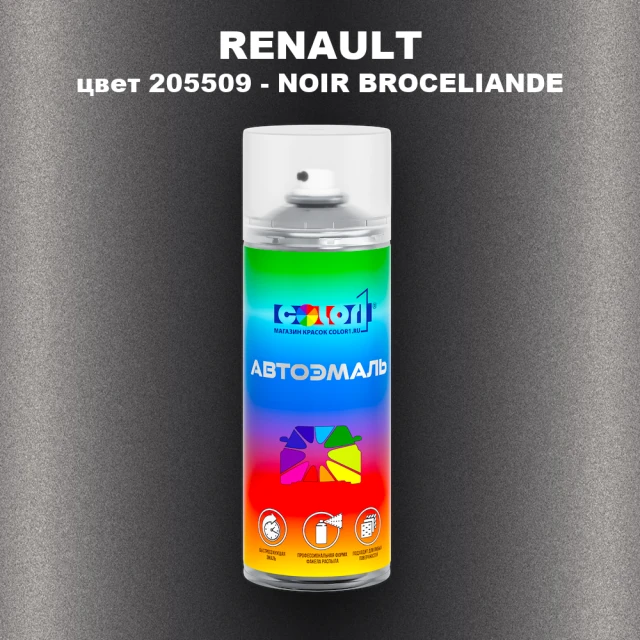 Аэрозольная краска RENAULT, цвет 205509 - NOIR BROCELIANDE