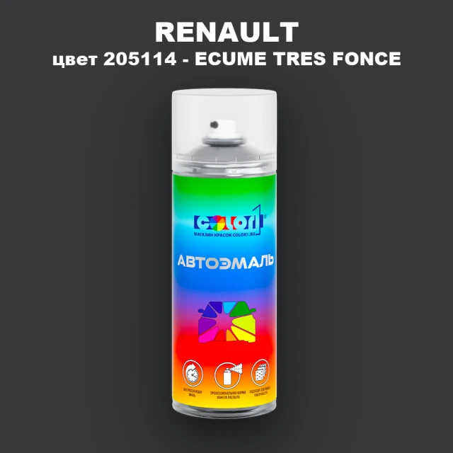 Аэрозольная краска RENAULT, цвет 205114 - ECUME TRES FONCE