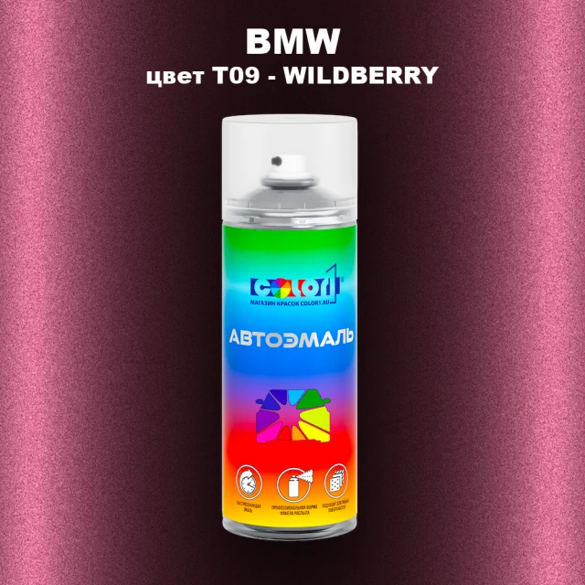 Аэрозольная краска BMW, цвет T09 - WILDBERRY