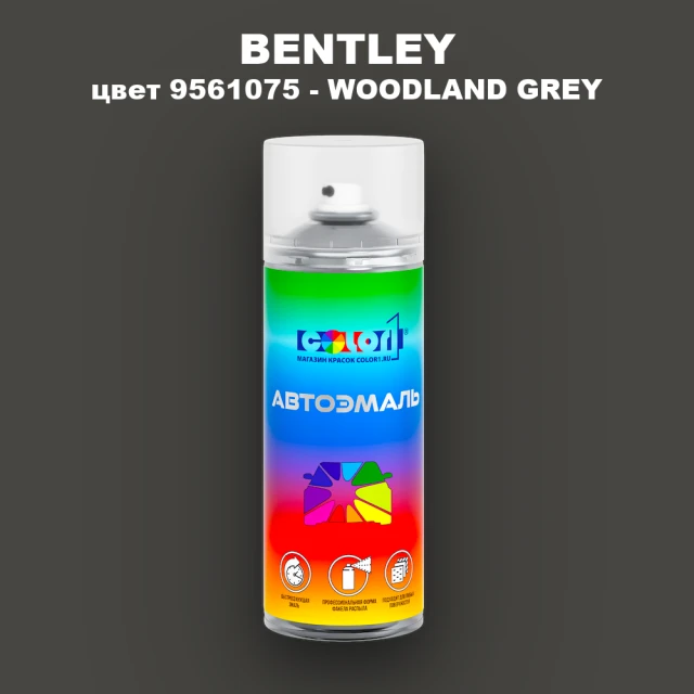 Аэрозольная краска BENTLEY, цвет 9561075 - WOODLAND GREY
