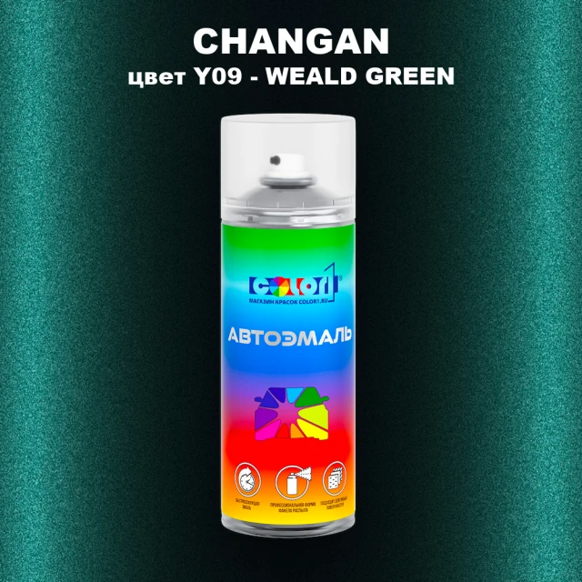 Аэрозольная краска CHANGAN, цвет Y09 - WEALD GREEN