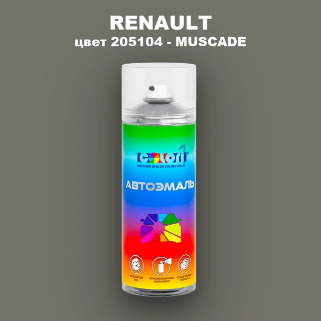Аэрозольная краска RENAULT, цвет 205104 - MUSCADE