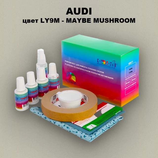 Ремкомплект для ремонта глубоких сколов и царапин AUDI, цвет LY9M - MAYBE MUSHROOM