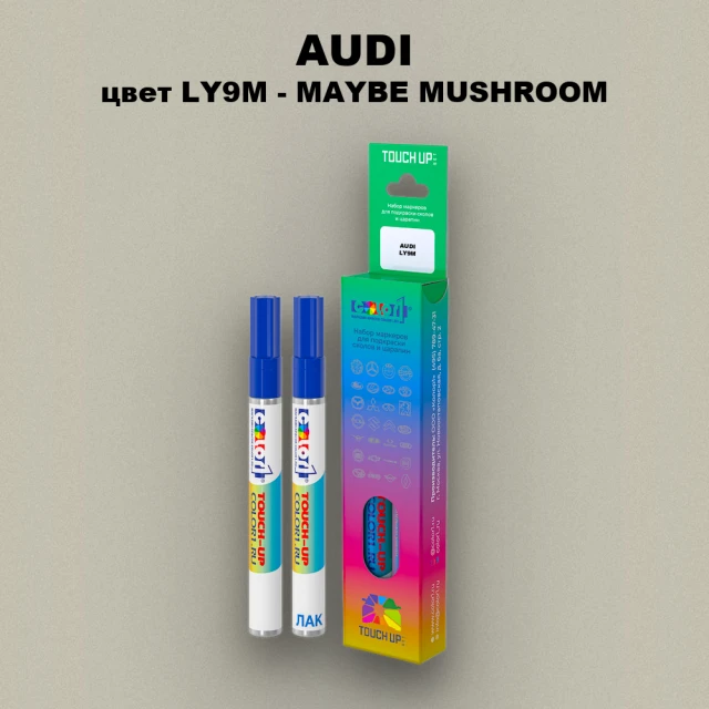 Маркер с краской AUDI, цвет LY9M - MAYBE MUSHROOM