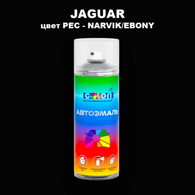 Аэрозольная краска JAGUAR, цвет PEC - NARVIK/EBONY