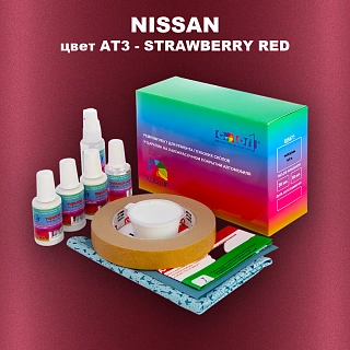 Ремкомплект для ремонта глубоких сколов и царапин NISSAN, цвет AT3 - STRAWBERRY RED