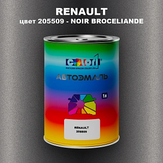 Автомобильная краска RENAULT, цвет 205509 - NOIR BROCELIANDE