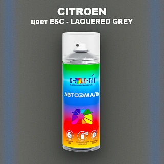 Аэрозольная краска CITROEN, цвет ESC - LAQUERED GREY