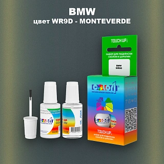 Краска для сколов во флаконе с кисточкой BMW, цвет WR9D - MONTEVERDE