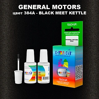 Краска для сколов во флаконе с кисточкой GENERAL MOTORS, цвет 384A - BLACK MEET KETTLE