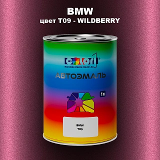 Автомобильная краска BMW, цвет T09 - WILDBERRY