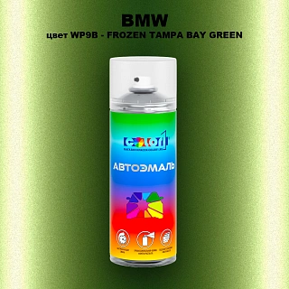 Аэрозольная краска BMW, цвет WP9B - FROZEN TAMPA BAY GREEN