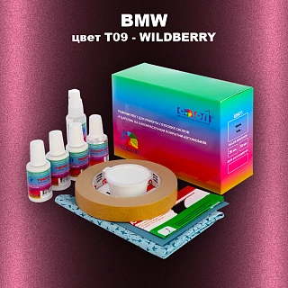 Ремкомплект для ремонта глубоких сколов и царапин BMW, цвет T09 - WILDBERRY